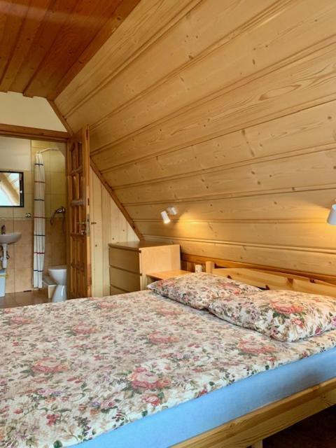Kwatery Prywatne U Bachledow Zakopane Dış mekan fotoğraf